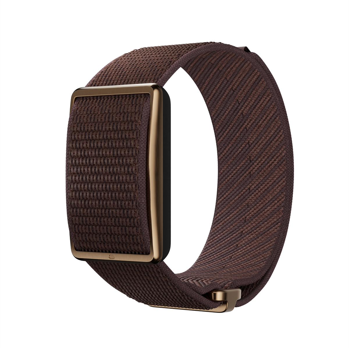 Polar Loop