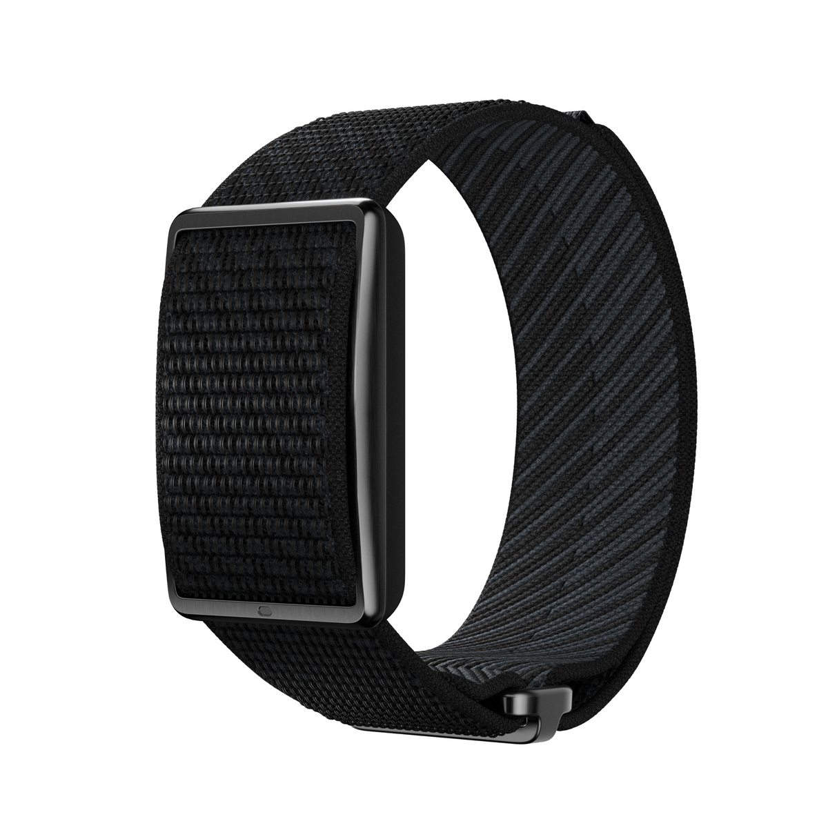 Polar Loop