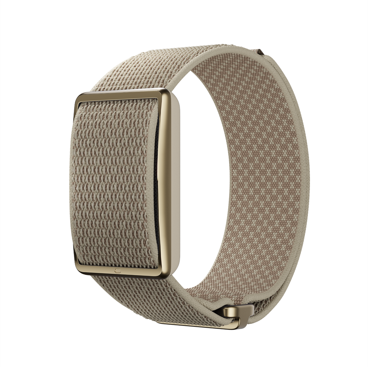 Polar Loop